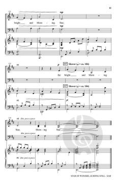 Star Of Wonder, Guiding Still von Joseph M. Martin 