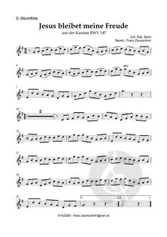 Jesus bleibet meine Freude von Johann Sebastian Bach (Download) 