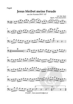Jesus bleibet meine Freude von Johann Sebastian Bach (Download) 