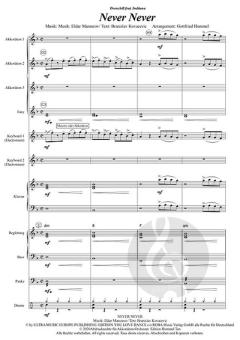 Never, Never von Indiiana (Download) 