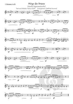 Möge die Straße (Irische Segenswünsche) von Markus Pytlik (Download) 