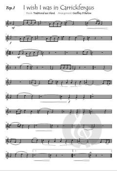 I wish I was in Carrickfergus (Download) 