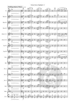 Johann Strauss Highlights von Johann Strauss (Sohn) (Download) 