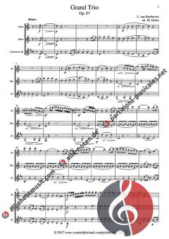 Grand Trio op. 87 von Ludwig van Beethoven 