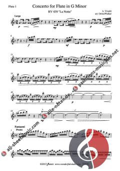 Concerto for Flute G minor von Antonio Vivaldi 