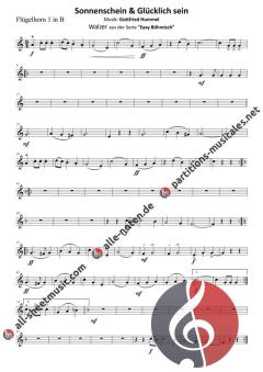 Sonnenschein und glücklich sein von Gottfried Hummel (Download) 