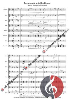 Sonnenschein und glücklich sein von Gottfried Hummel (Download) 