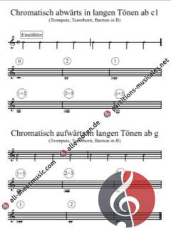 Mr.Bummbelbee's Lerninsel von Gottfried Hummel (Download) 