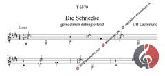 Die Wiese lebt von Ulf Lachmund 