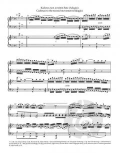 Kadenzen und Eingänge zu den Klavierkonzerten von Wolfgang Amadeus Mozart (Download) 