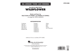 Wildflower von Billie Eilish (Download) 