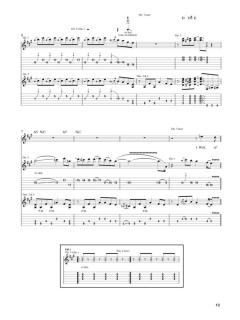 Guitar Signature Licks von Lynyrd Skynyrd 