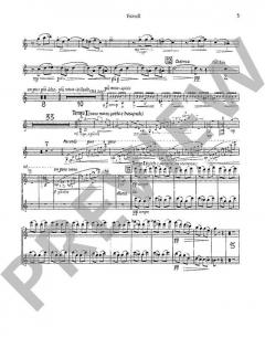 Concerto Nr. 2 in C-Dur op. 160 von Mario Castelnuovo-Tedesco 