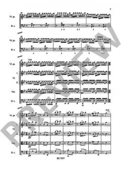 Die vier Jahreszeiten op. 8 Nr. 2 RV 315: Der Sommer (Antonio Vivaldi) 