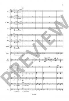 Konzert Nr. 1 g-Moll op. 26 von Max Bruch 