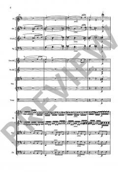 Sinfonie Nr. 8 h-Moll D 759 von Wilhelm Altmann 