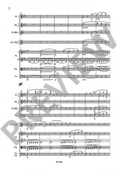 Sinfonie Nr. 3 Es-Dur op. 55 von Ludwig van Beethoven 
