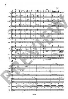 Sinfonie Nr. 3 Es-Dur op. 55 von Ludwig van Beethoven 