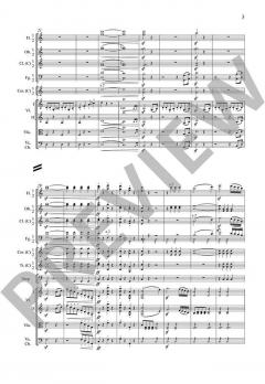 Sinfonie Nr. 1 C-Dur op. 21 von Ludwig van Beethoven 