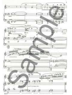 Introduction, Theme and Variations von Louis Moyse 