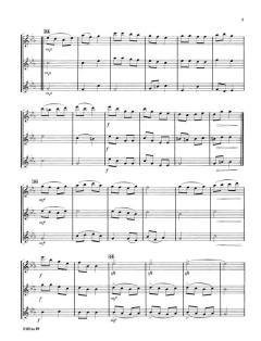 Flutantics von Ralph R. Guenther 