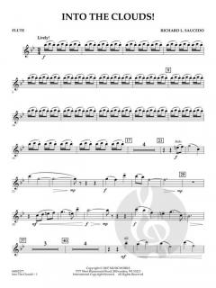 Into The Clouds! von Richard L. Saucedo (Download) 