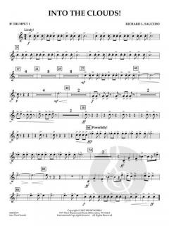 Into The Clouds! von Richard L. Saucedo (Download) 