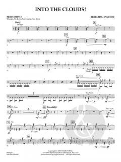 Into The Clouds! von Richard L. Saucedo (Download) 