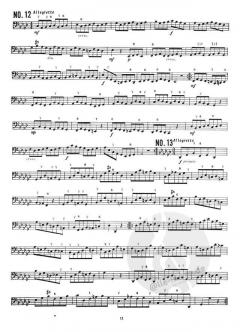 Selected Kopprasch Studies von C. Kopprasch 