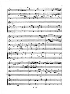 Concerto in g-Moll RV 107 (Antonio Vivaldi) 
