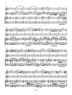 Concerto in g-Moll RV 103 (Antonio Vivaldi) 