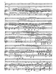 Klaviertrio Es-dur op. 96 (Johann Nepomuk Hummel) 