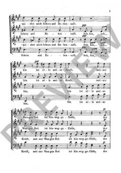 Der Greis von Joseph Haydn 
