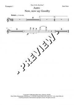 Now, Now Say Goodbye - DOWNLOAD (Dani Felber) 