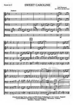 Sweet Caroline (Neil Diamond) 