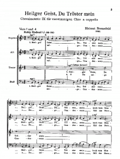 Heilger Geist, du Tröster mein BoWV42 (Helmut Bornefeld) 
