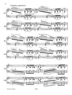 6 Etuden nach Paganini Nr. 2 von Franz Liszt 