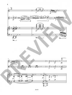 distant traces von Detlev Müller-Siemens 