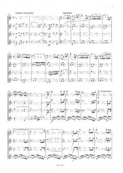 Ouvertüre zur Oper Nabucco von Giuseppe Verdi für 4 Flöten (Piccolo, Altflöte in G ad lib.) im Alle Noten Shop kaufen