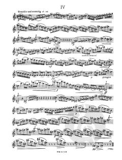 2 Solosonaten von Günter Raphael (Download) 