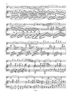 Sonate Nr. 1 G-dur op. 78 von Johannes Brahms 