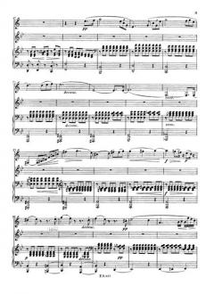 Der Hirt auf dem Felsen op. 129 D 965 (Franz Schubert) 