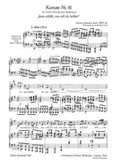 Jesus schläft, was soll ich hoffen (J.S. Bach) 