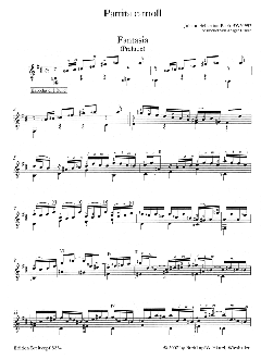 Partita in c-Moll BWV 997 von J.S. Bach 