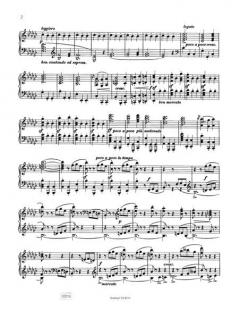 Sämtliche Klavierwerke 2 von Johannes Brahms im Alle Noten Shop kaufen