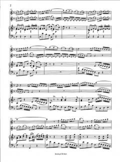 Konzert in d-Moll nach BWV 1060 (J.S. Bach) 