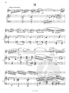 Der vollkommene Klarinettist Band 3 von Rudolf Jettel 