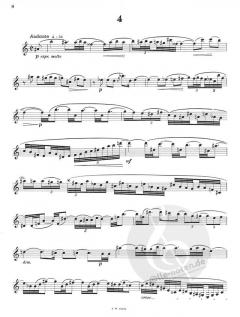 Der vollkommene Klarinettist Band 2 von Rudolf Jettel 