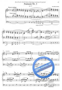 Drei Fantasien op. 10, 50, 51 von Paul Blumenthal 