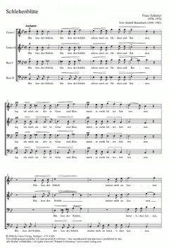 Schlehenblüte; Versunken (Franz Schreker) 